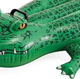 Intex Inflatable Crocodile 168x86 cm view 5