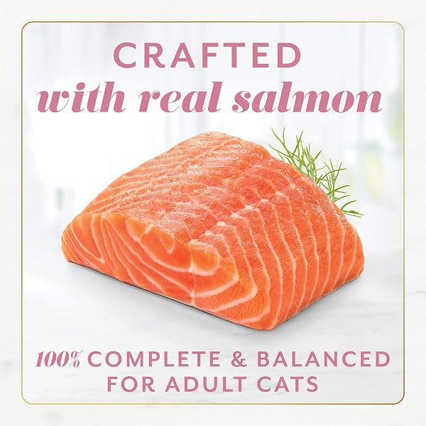 FANCY FEAST GEMS PATE CAT FOOD MOUSSE WITH SALMON AND A HALO OF SAVORY GRAVY CAT FOOD – (PACK OF 8) OZ. BOXES