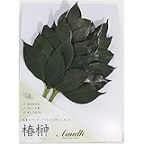 M【 造花 不使用 】プリザーブド榊 (椿葉使用） 枯れない 椿 榊 サカキ 2本組 水やり不要