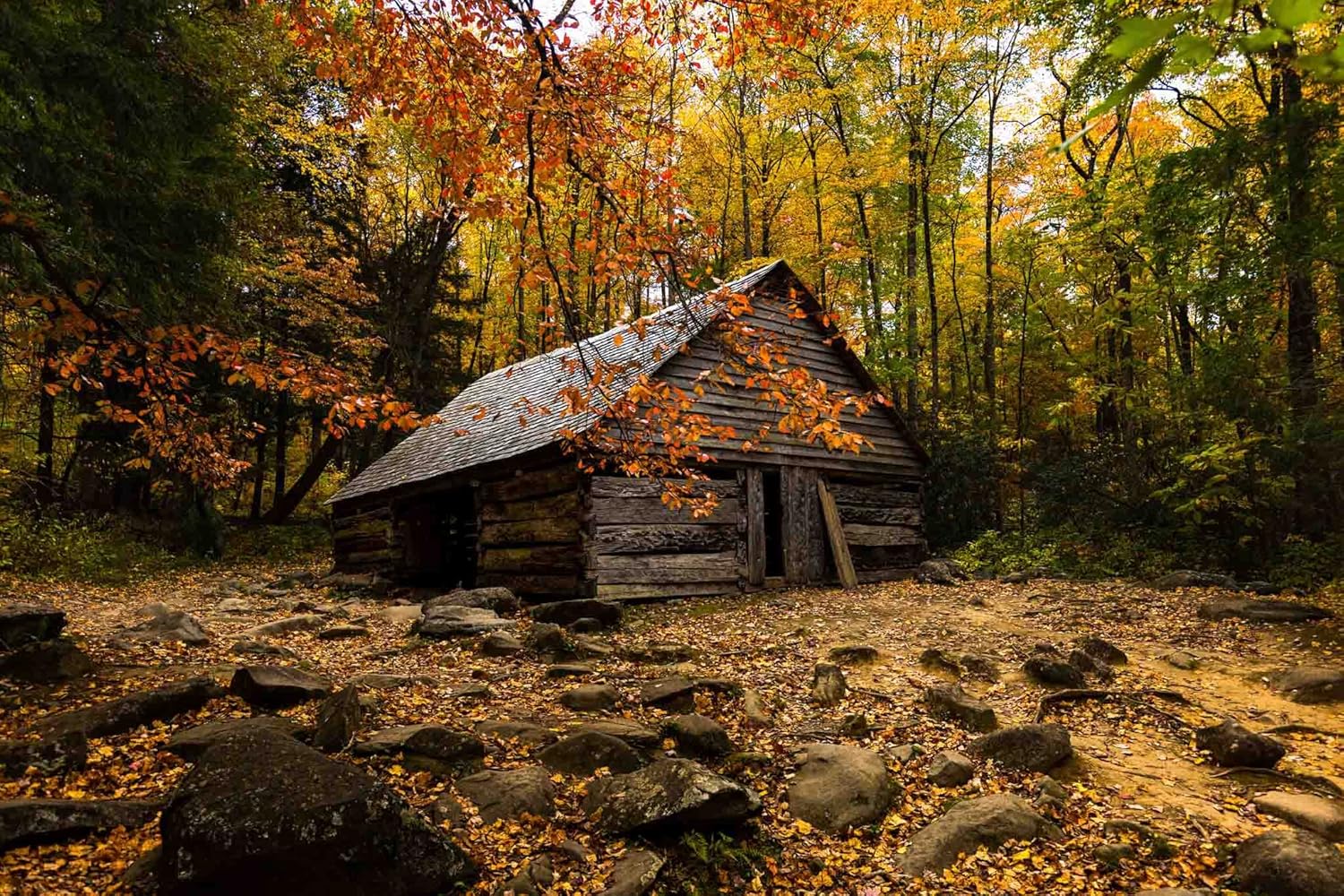 Photographs - Country Photography Print (Not Framed) Picture of Old Barn Surrounded by Fall Foliage on Autumn Day in Great Smoky Mountains Tennessee Rustic Wall Art Cabin Lodge Decor (11