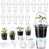 Ferrochef 30 Pack 3.5" Self Watering Propagation Pots Clear, Plain Cup | Plastic Nursery Cups with Humidity Dome, for Alocasia Corms, Seedlings, Cuttings, Herbs &amp; Vegetables, with Plant Labels