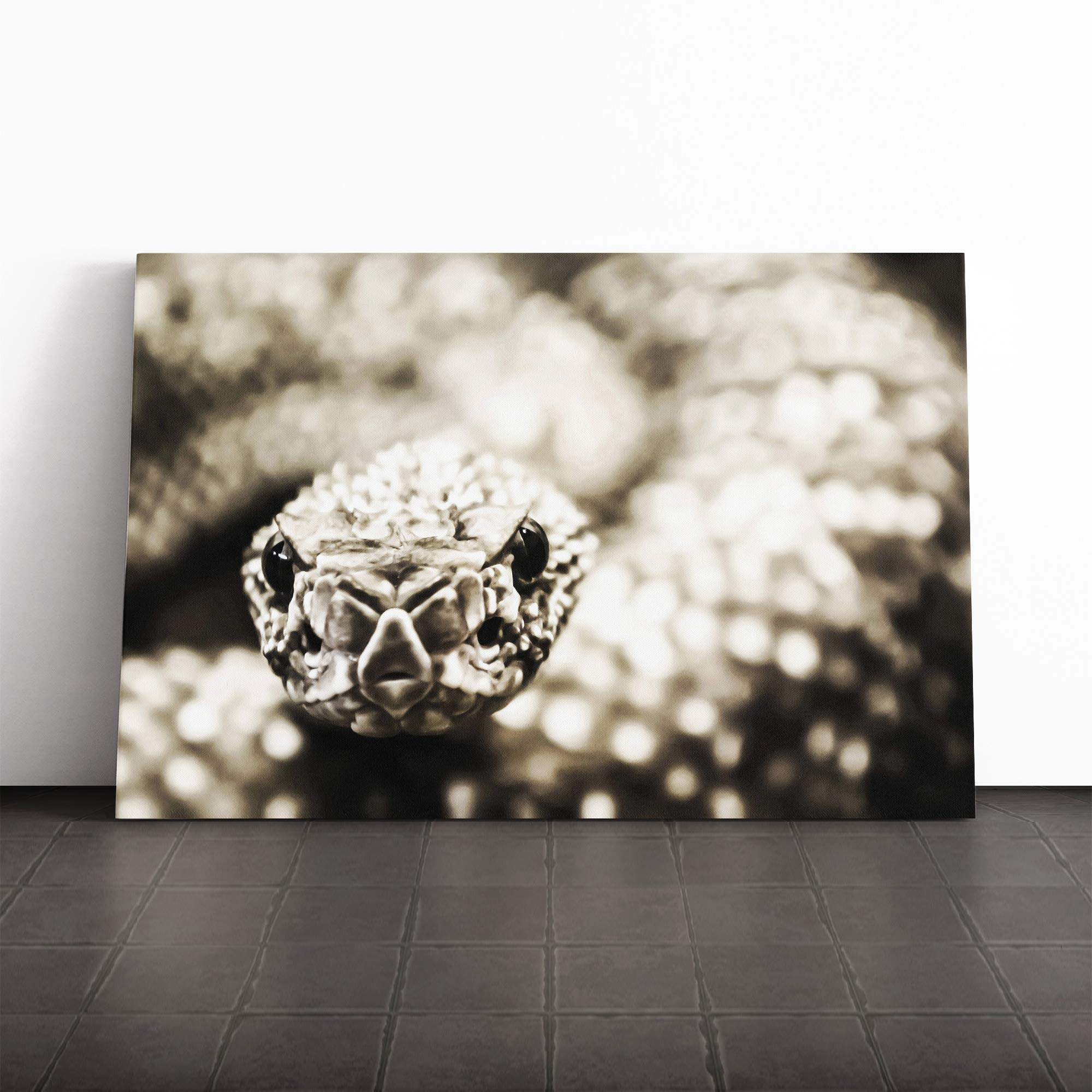 Rattlesnake Snake Vol.2 Canvas Print | Gallery Wrapped 30mm Frame Wall Art | 20x14 inches | Ready to Hang | Modern Animals Picture | Living Room Bedroom Lounge Office