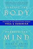 Awake In The World Teachings From Yoga And Buddhism For Living An Engaged Life Michael Stone