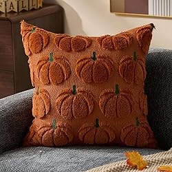 DFXSZ Fall Pillow Covers 18x18 Set of 2 Fall
