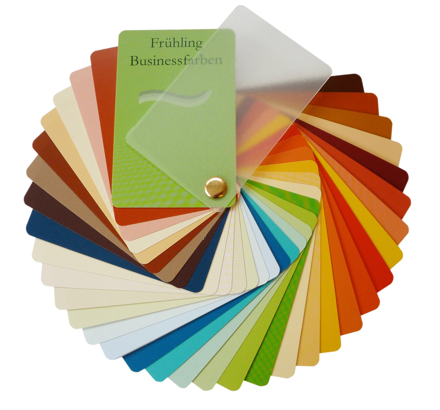 Farbpass Business Spring (Warm Spring) as Fan with 34 Type-Specific Colours for Colour Analysis, Colour Advice