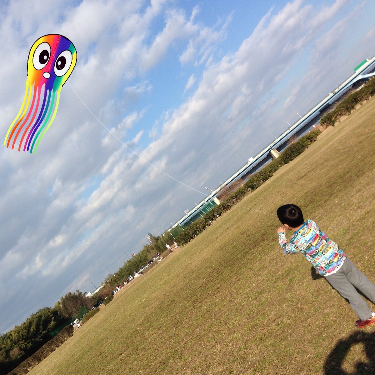 emma kites Diamond Kite Mr Easy to Fly Fox/Little Star 30inch Single