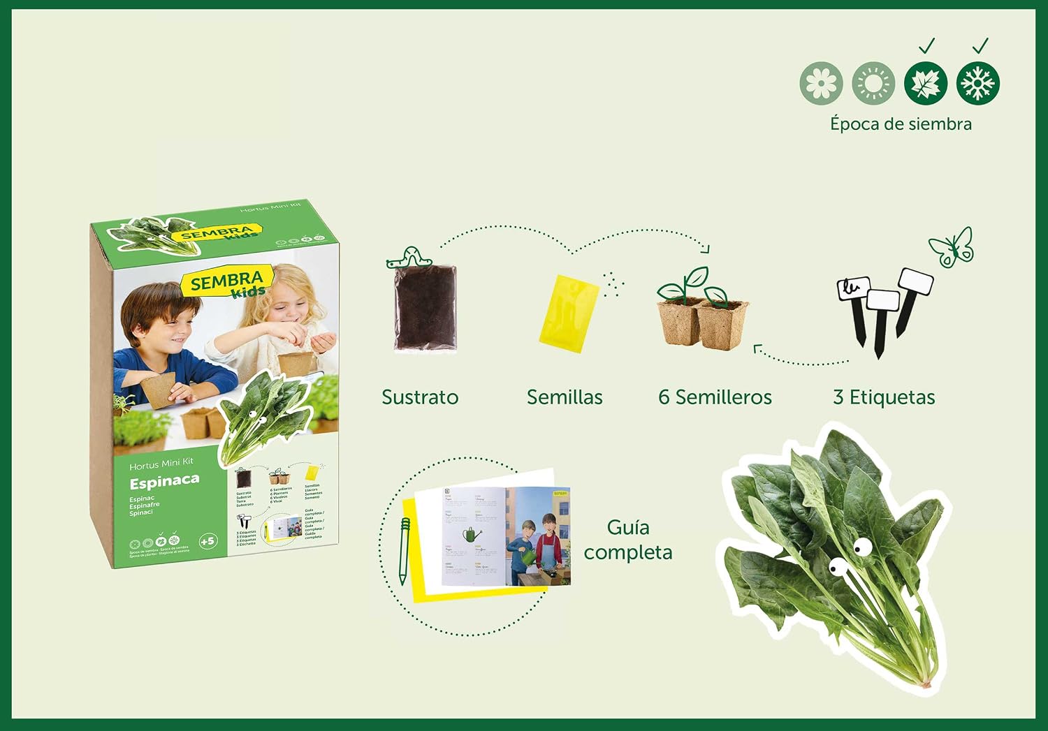 SEMBRA - juego educativo, Kit huerto Espinaca: Amazon.es: Jardín