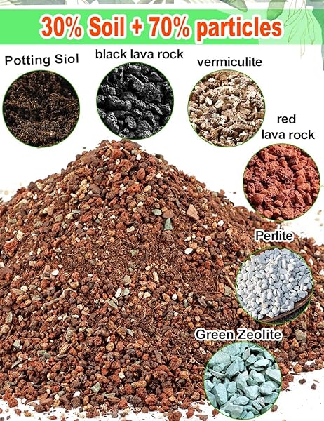 TOYPOPOR SUCCULENT SOIL, CACTUS POTTING MIX 6 POUNDS/3QTS, HIGH DRAINAGE, PRE-MIXED READY TO USE FOR ALL SUCCULENT VARIETIES, INDOOR PLANTS, BONSAI, TERRARIUM, HOUSEPLANT, 70% PARTICLES 30% SOIL