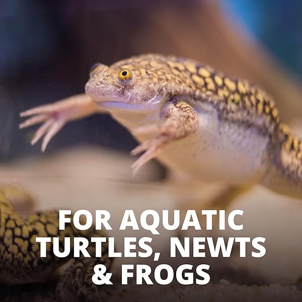 REPTOTREAT GAMMARUS 0.35 OUNCE, SHRIMP TREAT FOR AQUATIC TURTLES, NEWTS AND FROGS,100% SHRIMP