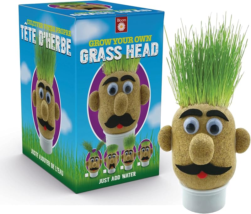 Funtime Gifts Grasshead Novelty Grow Your Own Grass Head Green