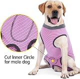 HEYWEAN Dog Recovery Suit Spay Bodysuit After Surgery for Dogs view 3
