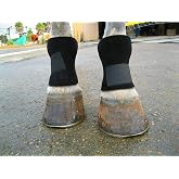 Bedsore Boots for Horses -Equine Leg Protection for Pressure Sores &amp; Ulcers- Neoprene Stall Boots, Heal Wounds Faster, Easy On/Off, Washable &amp; Air-Dry