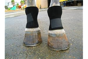EQUIPRO Bedsore Boots for Horses -Equine Leg Protection for Pressure Sores & Ulcers- Neoprene Stall Boots, Heal Wounds Faster, Easy On/Off, Washable & Air-Dry