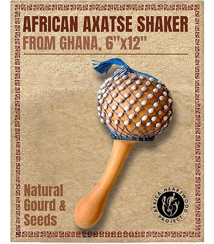 Amazon.com: Latin Percussion LP484 Jim Greiner Pro Shekere