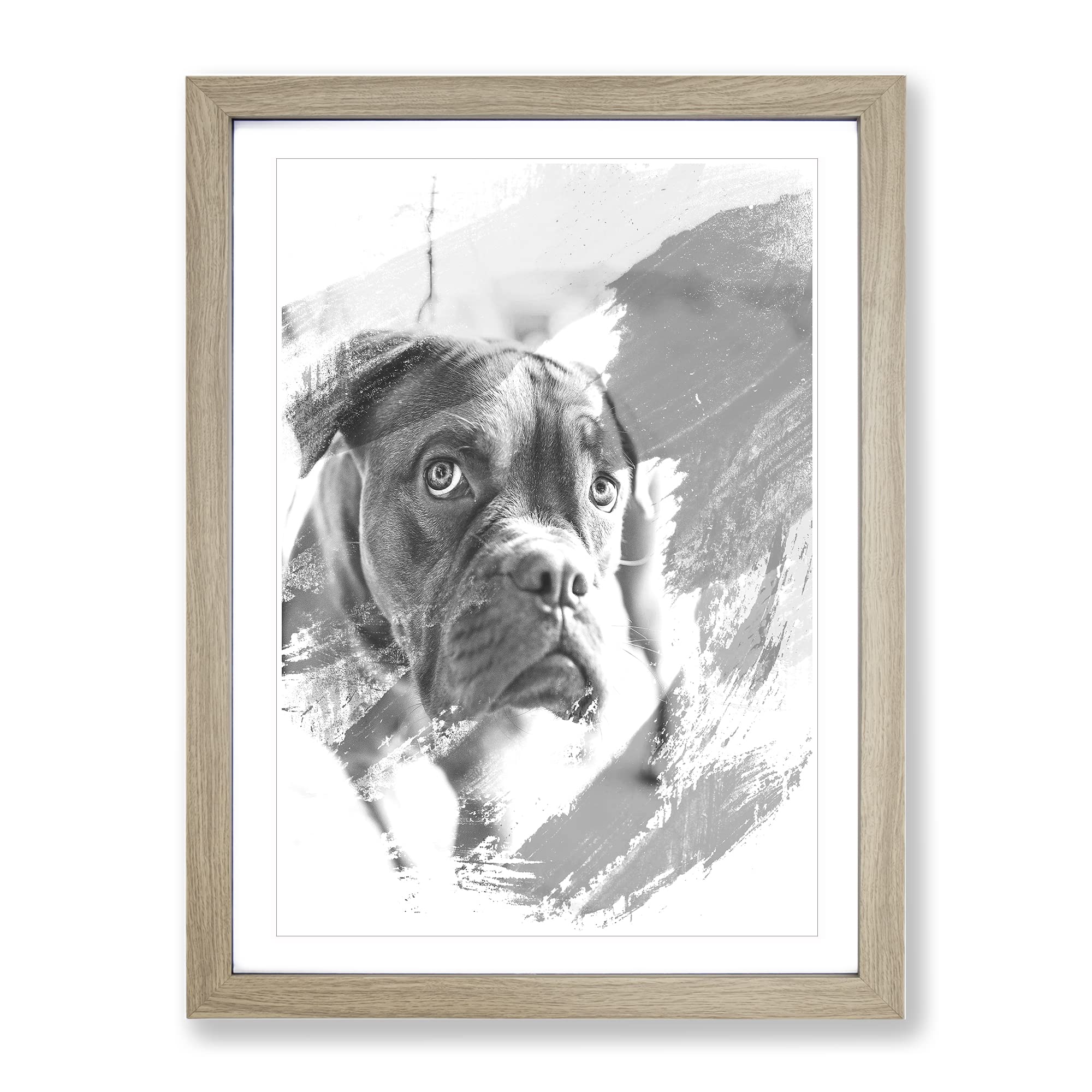Dogue De Bordeaux Dog V1 Modern Framed Wall Art Print, Ready to Hang Picture for Living Room Bedroom Home Office Décor, Oak A3 (34 x 46 cm)