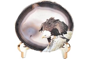 AMOYSTONE Large Agate Slice Art Painting Table Display Natural Agate Geode Stone Piece Decorative Plate with Stand Home Office Decoration Unique Gifts Print Eagle 4.9-6.3"