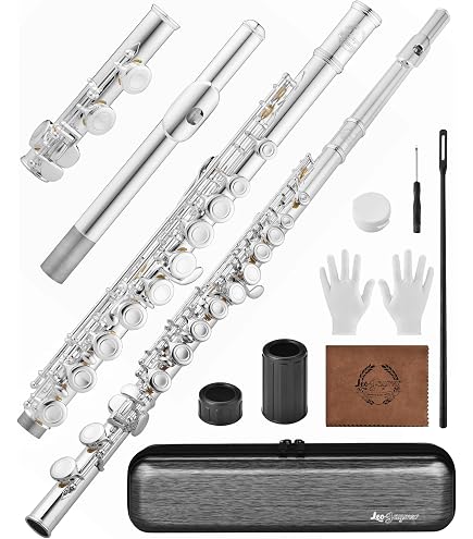 Amazon.com: Armstrong 104 Student Flute with Offset G Key System