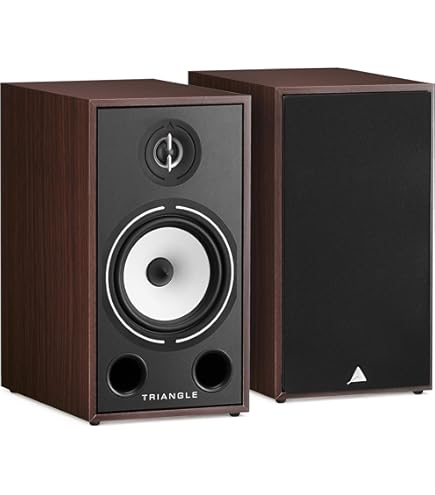 極美品　TRIANGLE Borea BR03 Connect スピーカー　黒 Enceintes Bibliothèques Actives Bluetooth - BR03 CONNECT