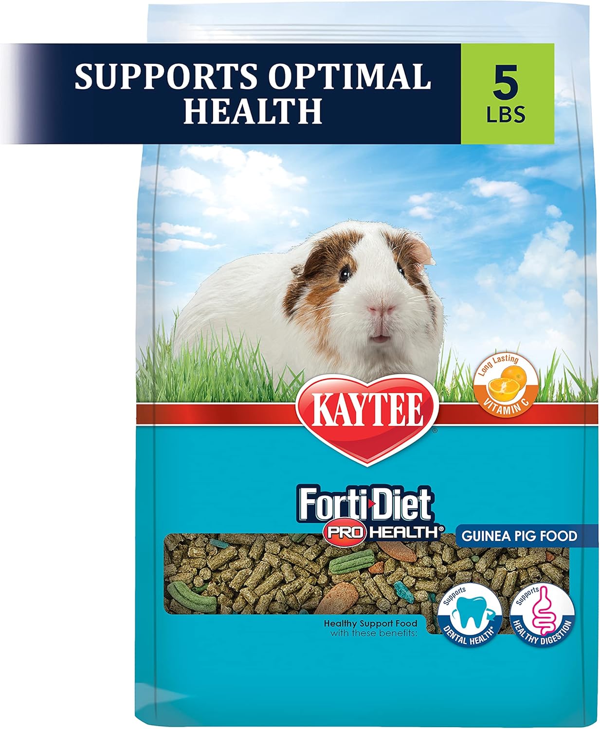 Kaytee Forti Diet Pro Health Guinea Pig Food, 5-Pound : Pet Food : Pet Supplies