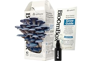 NUBLUME BloomBox Blue Oyster Mushroom Grow Kit – Ready to Fruit Indoor Gardening Gift – Organic Spawn Log for Fresh Fungi in 10 Days – Unique DIY STEM Science Project for Kids & Adults – Vegan Meat Substitute