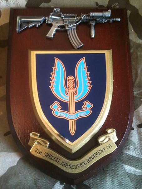 21 sas regiment