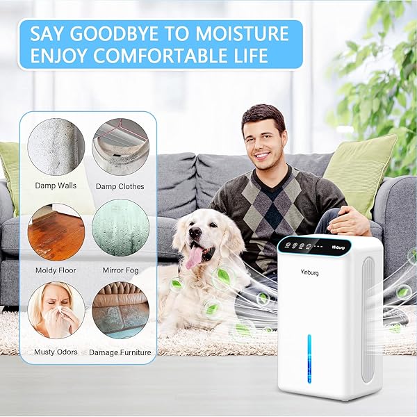 DEHUMIDIFIER FOR HOME 1000 SQ.FT – SMALL QUIET DEHUMIDIFIER WITH AUTO SHUT OFF, AROMATHERAPY, 3 GEAR TIMER, SLEEP MODE, 7-COLOR LED LIGHT, DRAIN HOSE FOR BEDROOM, BATHROOM, BASEMENT, RV(MILKY WHITE)