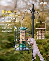 iBorn Squirrel Proof Bird Feeder 8 Inch Green All Metal Anti-UV Cage view 5