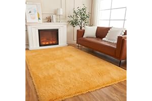 AMTOVO Area Rugs for Living Room, Fluffy Orange 6x9 Clearance Bedroom Rug, Large Throw Shag Carpet for Nursery, Kids, Playroom Home Decor