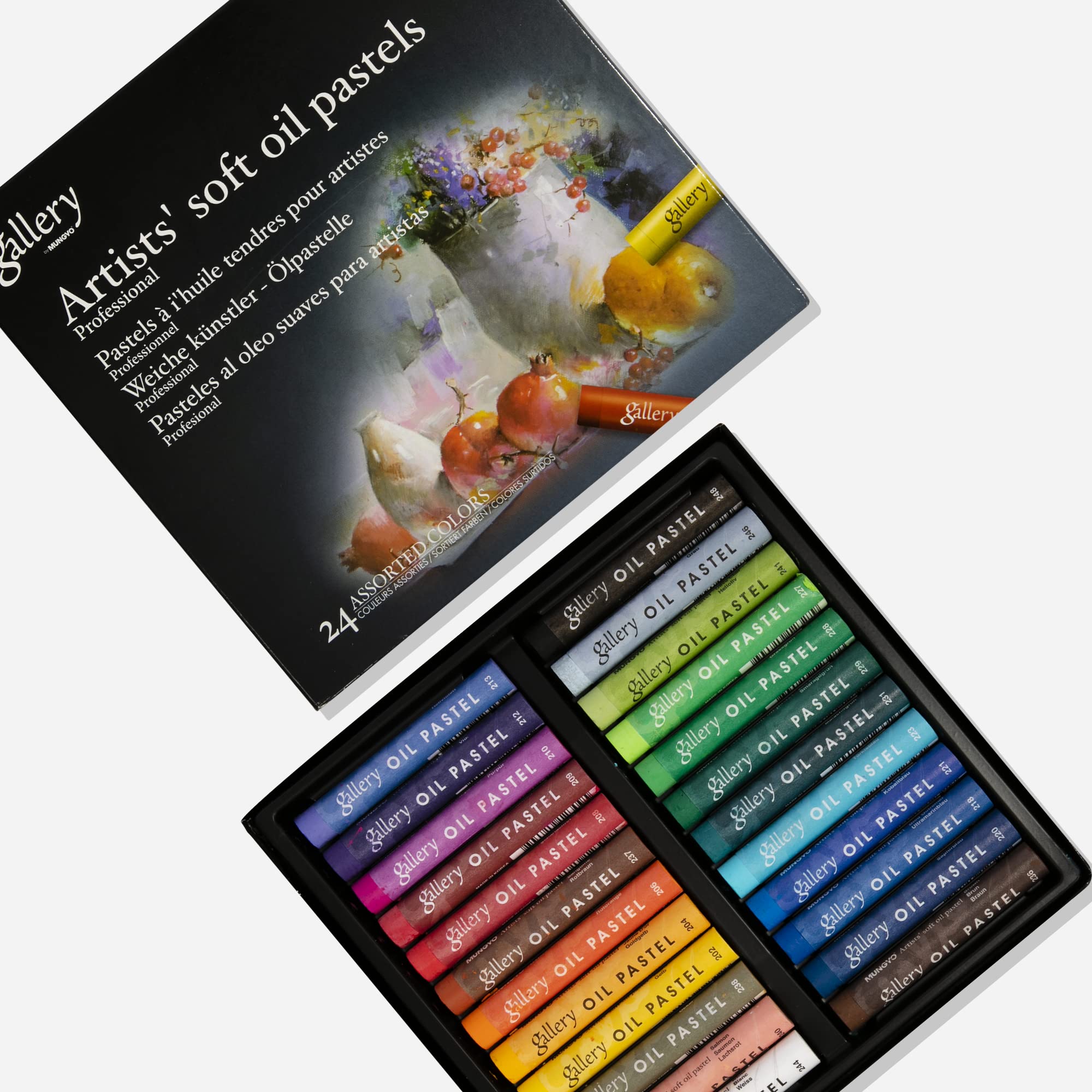 MUNGYO Gallery Artists' Soft Oil Pastels, 24 Assorted Colors - Professional Grade Oil Pastels for Artists