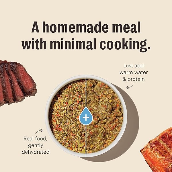 THE HONEST KITCHEN HUMAN GRADE WHOLEMADE™ DEHYDRATED GRAIN FREE FRUIT & VEGGIE BASE MIX DOG FOOD (JUST ADD PROTEIN), 7 LB BOX