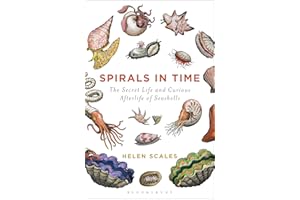 Spirals in Time: The Secret Life and Curious Afterlife of Seashells