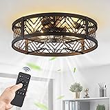 LEDIARY 20" Caged Ceiling Fan with Light, Small