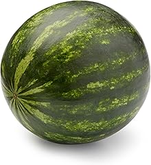 Mini Seedless Watermelon, each