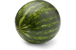 Mini Seedless Watermelon, each