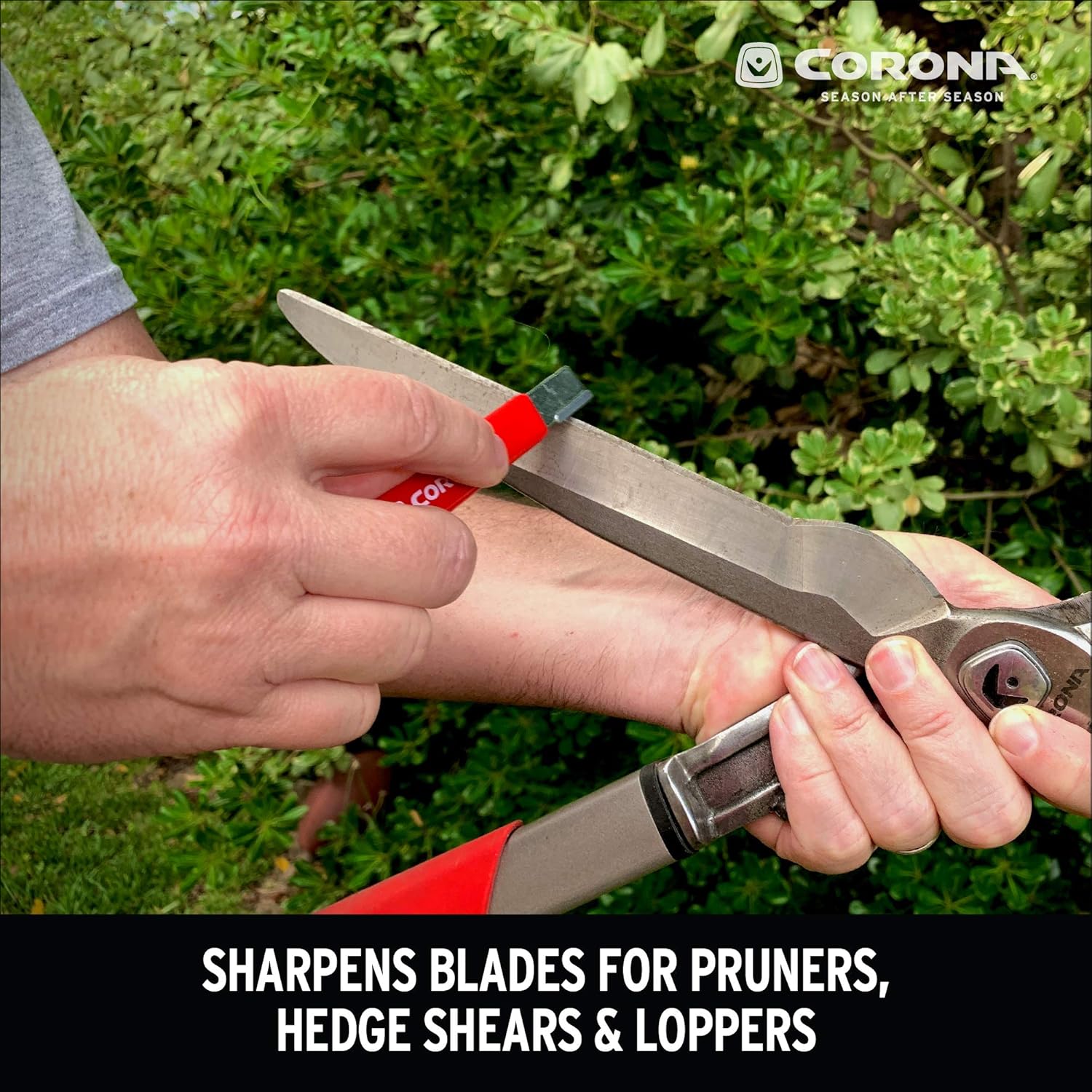 Corona, Garden Tool Blade Sharpener, 1-Pack, Basic pack: Kitchen & Dining