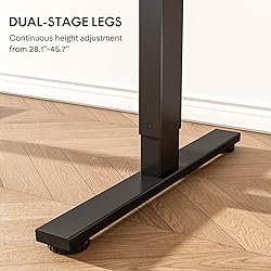 FLEXISPOT EN1 Whole-Piece Standing Desk 48 x 24