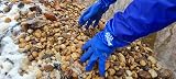 Pond H2O Long Full Arm Water Garden Gloves Latex Free Reusable Yard Pond view 9