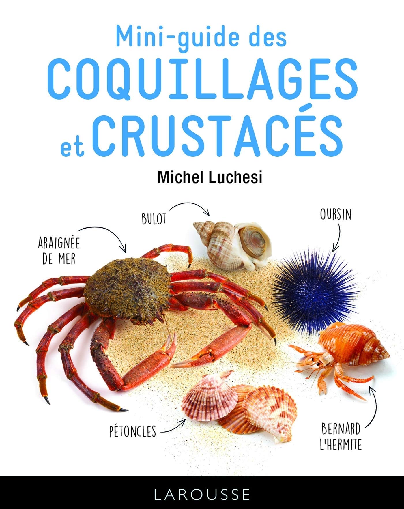 Le Mini Guide Des Coquillages Et Crustaces Hors Collection Nature Luchesi Michel Amazon Com Books