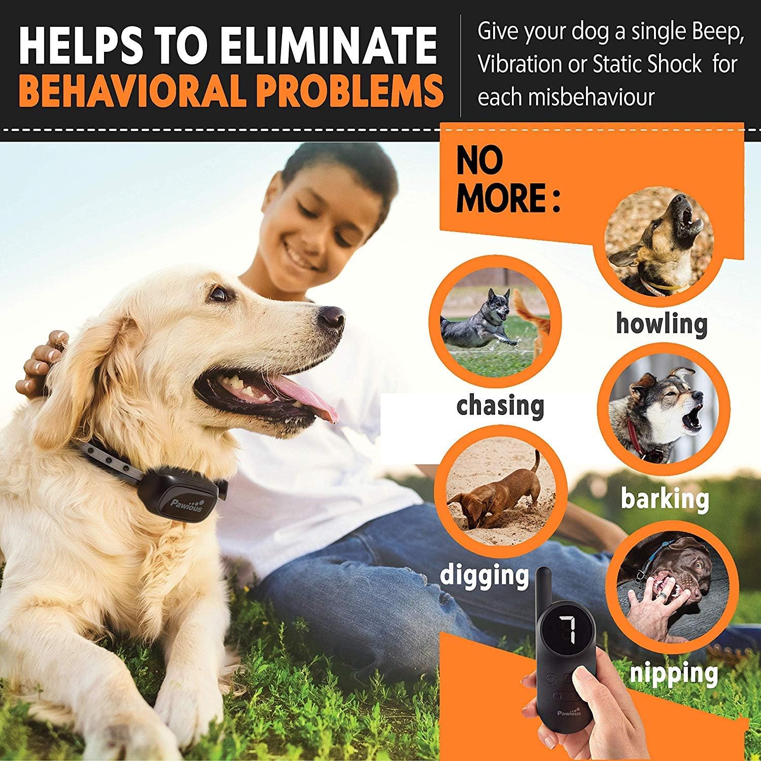 Reviews Pawious Dog Training Collar with Remote [Newest] Rechargeable