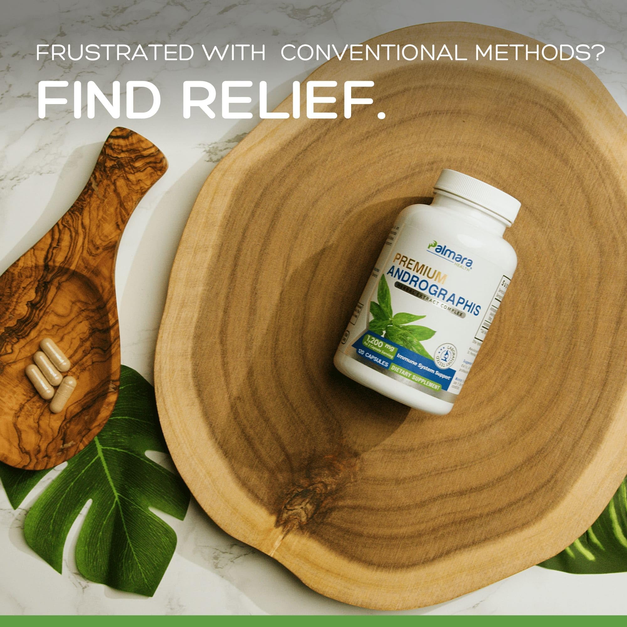 Palmara Health Premium Andrographis Paniculata Extract 1,200mg with 100mg Andrographolides Vegan Capsules for Immune & Digestive Support, Non-GMO, Gluten Free, Herbal Dietary Supplement