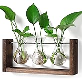 YIBOT Wall Hanging Planter Propagation Station Glass Flower Vase for Hydroponics Plants, Plant Terrarium with Wooden Stand, Bathroom, Home Office Living Room Decor Gift