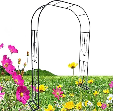 Amazon Co Jp 鉄製アーチ ガーデンアーチ パーゴラ バラアーチ ローズアーチ 薔薇アーチ 植物 そして 花 クライミング 玄関アーチ パイプの直径19mm メタルウェディングアーチ 組み立てかんたんフラワーアーチ 庭 ベランダ 園芸 家庭菜園 ガーデニング用品 ホーム