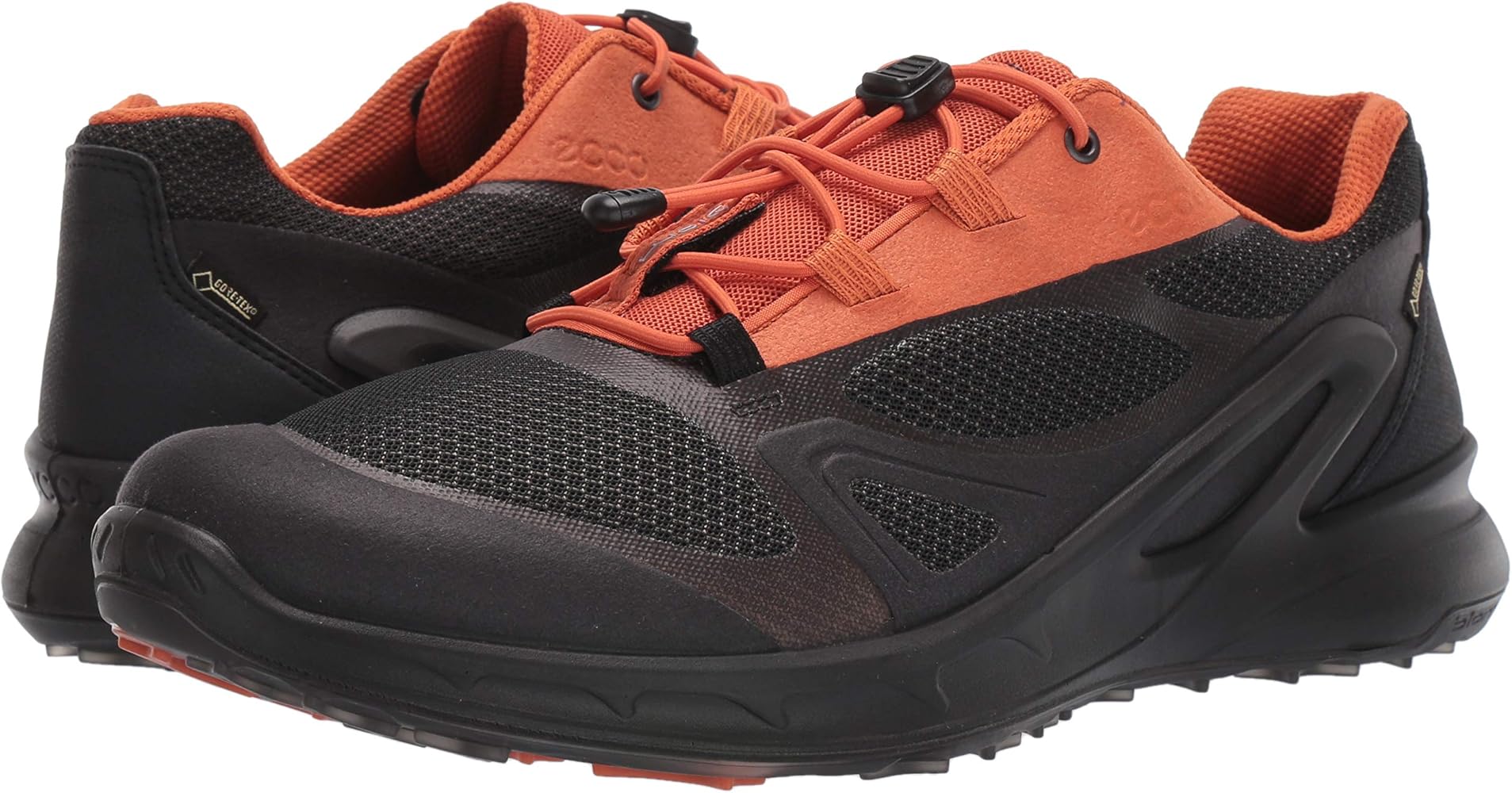 ecco mens biom omniquest gtx