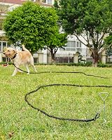 Joytale Padded Handle Long Dog Leash 5M 10M 15M 20M Heavy Duty Clip 10mm view 2