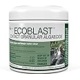Aquascape EcoBlast Contact Granular Algaecide – Fast-Acting Algae Remover for Waterfalls, Streams, and Rocks, Works at Any Temperature, 8.8 oz / 250 g, 29311