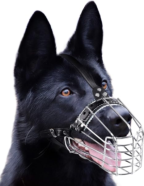 Focinheira para cachorro pastor alemão Clearance