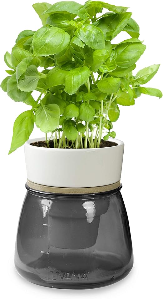 AKOLAFE 6er Set Selbstbewässerungstöpfe Mit Wasserstandsanzeiger - Praktische Blumentöpfe Für Kräuter & Sukkulenten