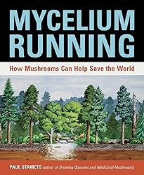 Mycelium Running: How Mushrooms Can Help Save the
