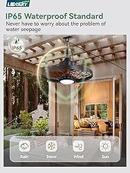LEDIARY 20" Outdoor Ceiling Fan with Lights,IP65