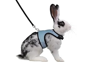 Niteangel Adjustable Soft Harness with Elastic Leash for Rabbits (XL, Blue)